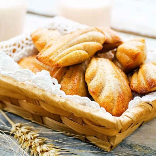 Madeleines Emmental Président en brochette de rillons confits